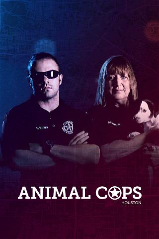Animal Cops: Houston poster