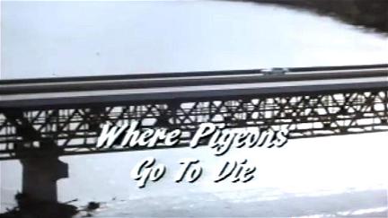 Where Pigeons Go to Die poster