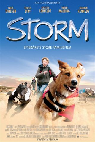 Storm, mon chien, mon ami poster