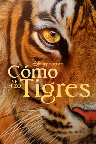 El resurgir de los tigres poster