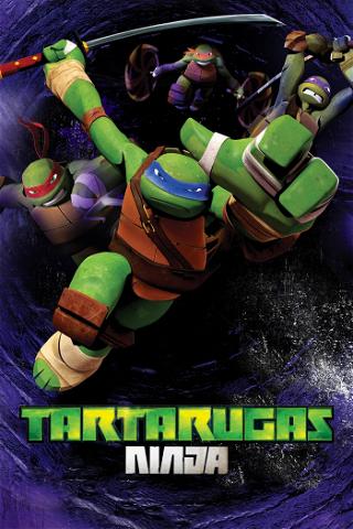 As Tartarugas Ninjas poster