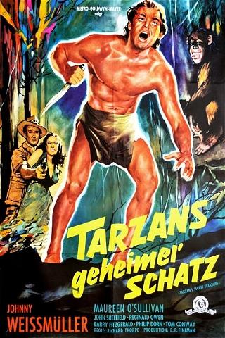 Tarzans geheimer Schatz poster