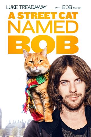 Um Gato De Rua Chamado Bob poster