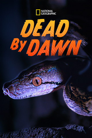 Dead By Dawn poster