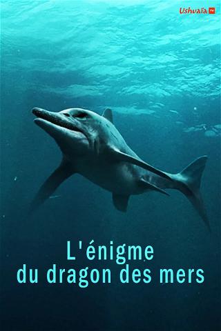 L'Enigme Du Dragon Des Mers poster