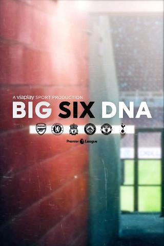 Big Six DNA poster