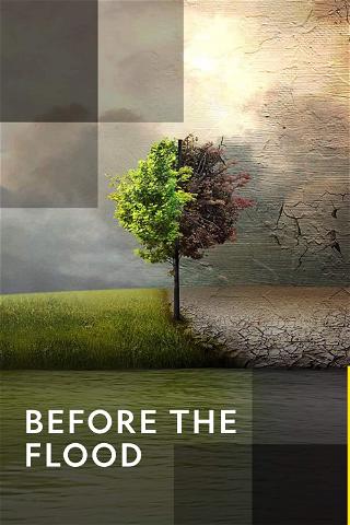 Before the Flood: DiCaprios klimakamp poster
