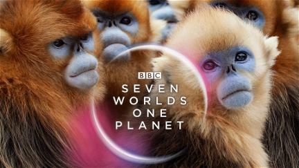 Une planète, sept mondes sauvages poster