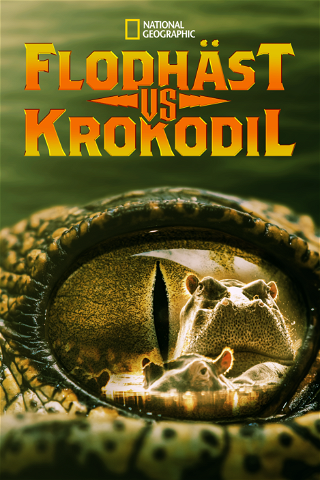 Flodhäst vs krokodil poster
