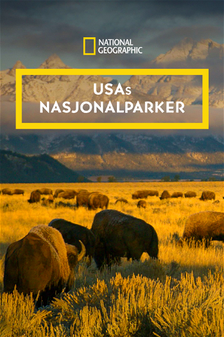 USAs nasjonalparker poster