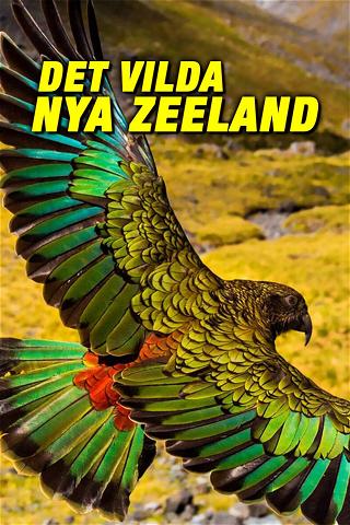 Det vilda Nya Zeeland poster