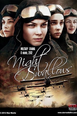 Night Swallows poster