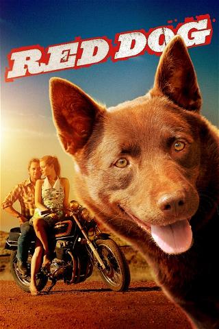Red Dog, una historia de lealtad poster