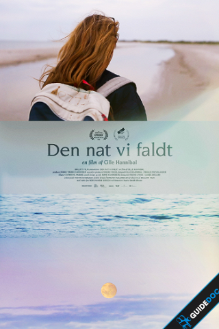 The Night We Fell poster