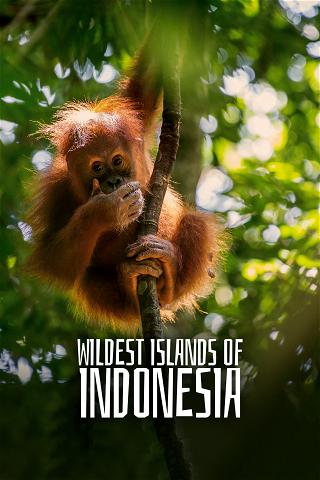 Wildest Islands Of Indonesia poster