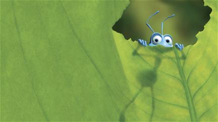 Uma Vida de Insecto poster