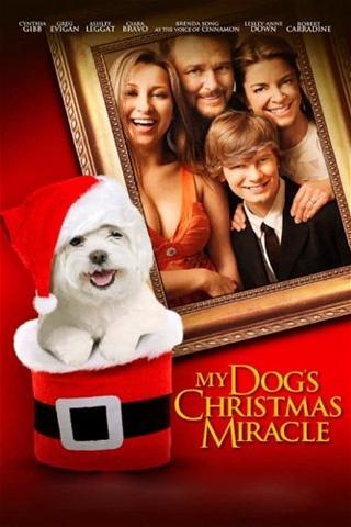 My Dog's Christmas Miracle poster