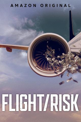 Flight / Risk poster