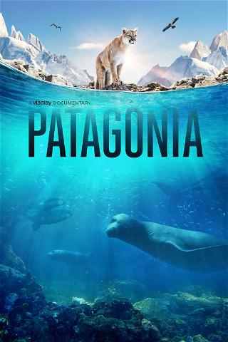 Patagonia: Life on the Edge of the World poster