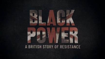 Black Power de Steve McQueen poster