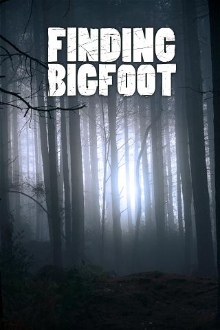 Finding Bigfoot poster