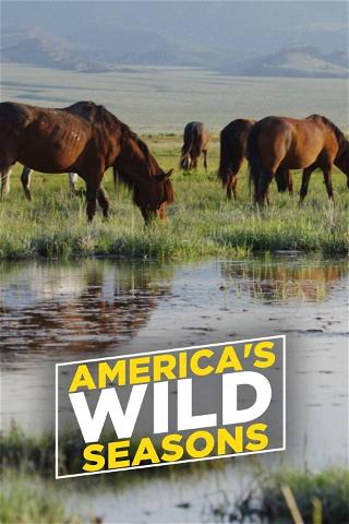 America's Wild Seasons poster