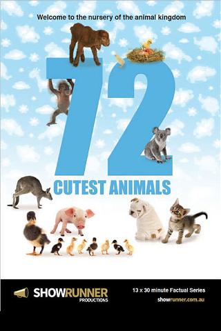 72 Cutest Animals poster