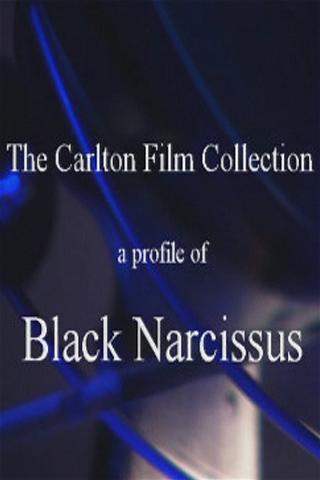 A Profile of Black Narcissus poster