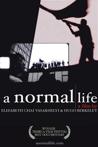 A Normal Life poster