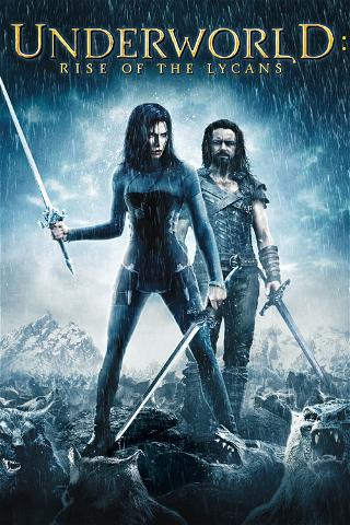 Underworld: Rise of the Lycans poster