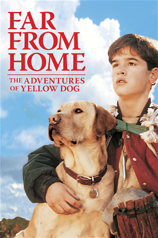 Daleko od domu: Przygody żółtego psa poster