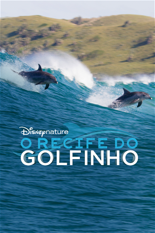O Recife do Golfinho poster