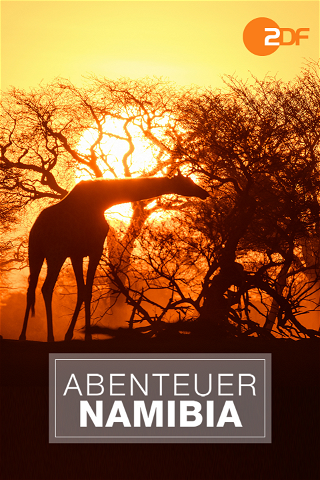 Abenteuer Namibia poster