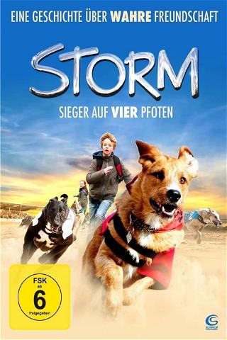 Storm - Sieger auf vier Pfoten poster