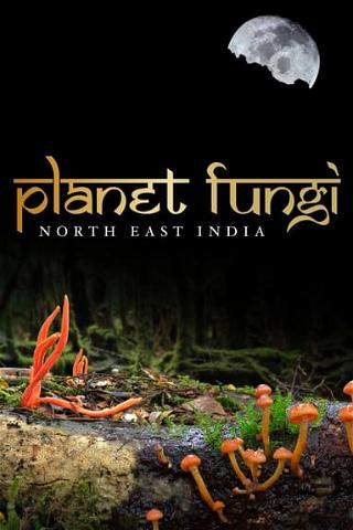 Planet Fungi: North East India poster