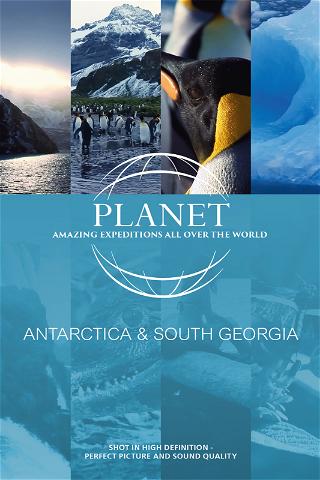 Planet - Antarctica & South Georgia poster