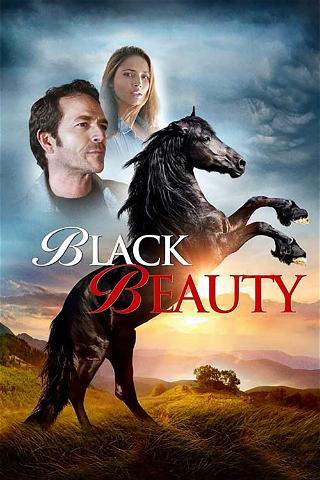 Black Beauty - Una storia di coraggio poster