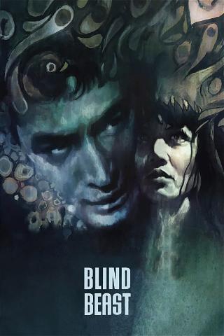 Blind Beast poster