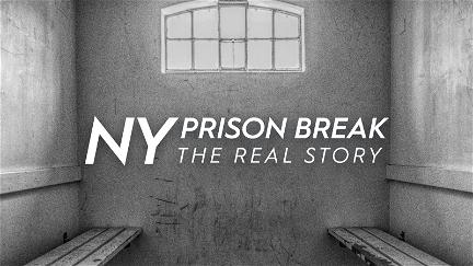 NY Prison Break: The Real Story poster