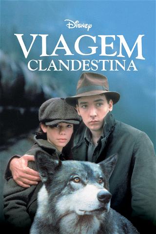 Viagem Clandestina poster