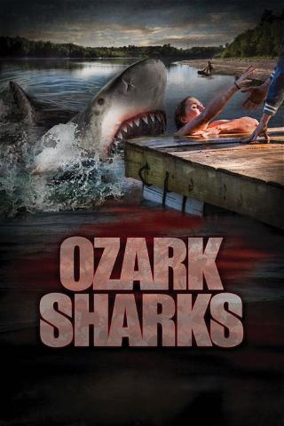 Summer shark attack poster