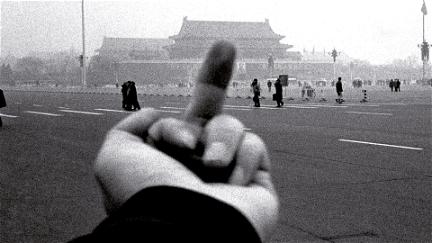 Ai Weiwei: Never sorry poster