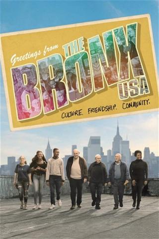 The Bronx, USA poster