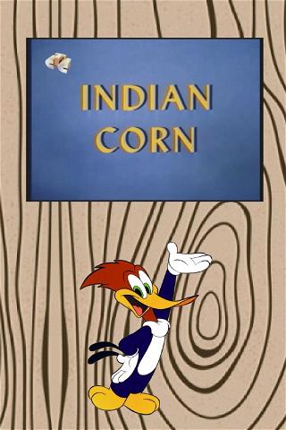 Indian Corn poster