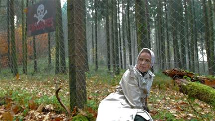 Die Frau, die im Wald verschwand poster