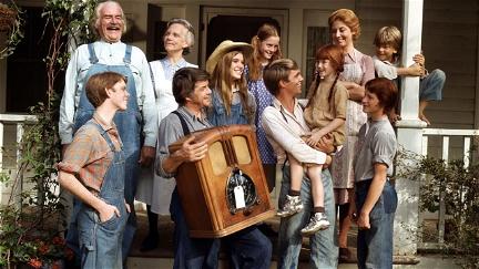 The Waltons poster
