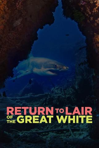 Return to Lair of the Great White poster