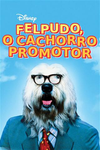 Felpudo, o Cachorro Promotor poster