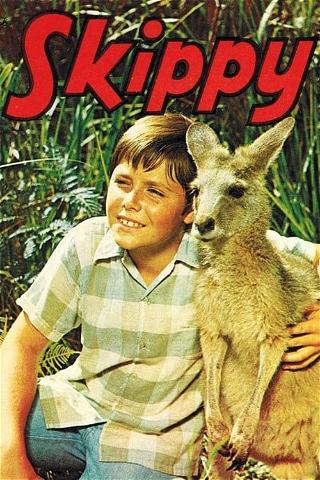 Skippy il canguro poster