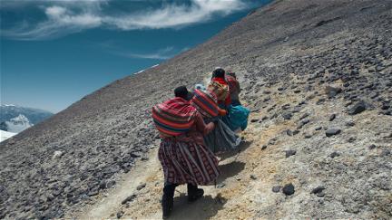 Bolivie, des femmes à l'assaut de leurs rêves poster
